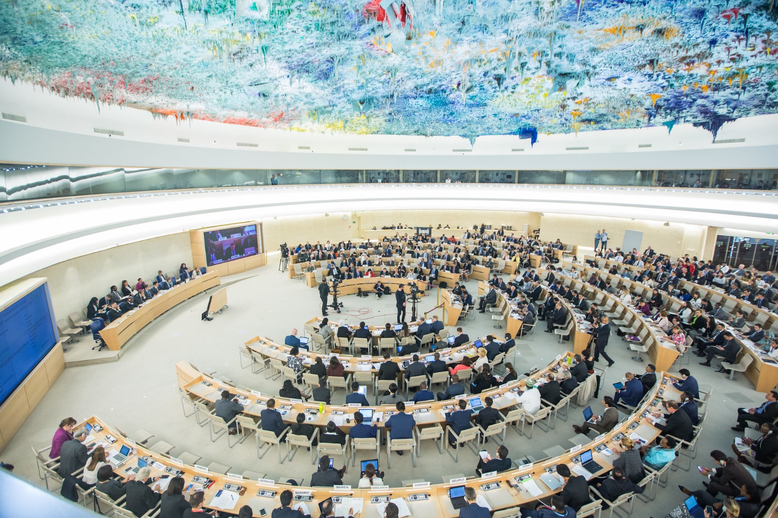 UN Human Rights Council Commission of Inquiry